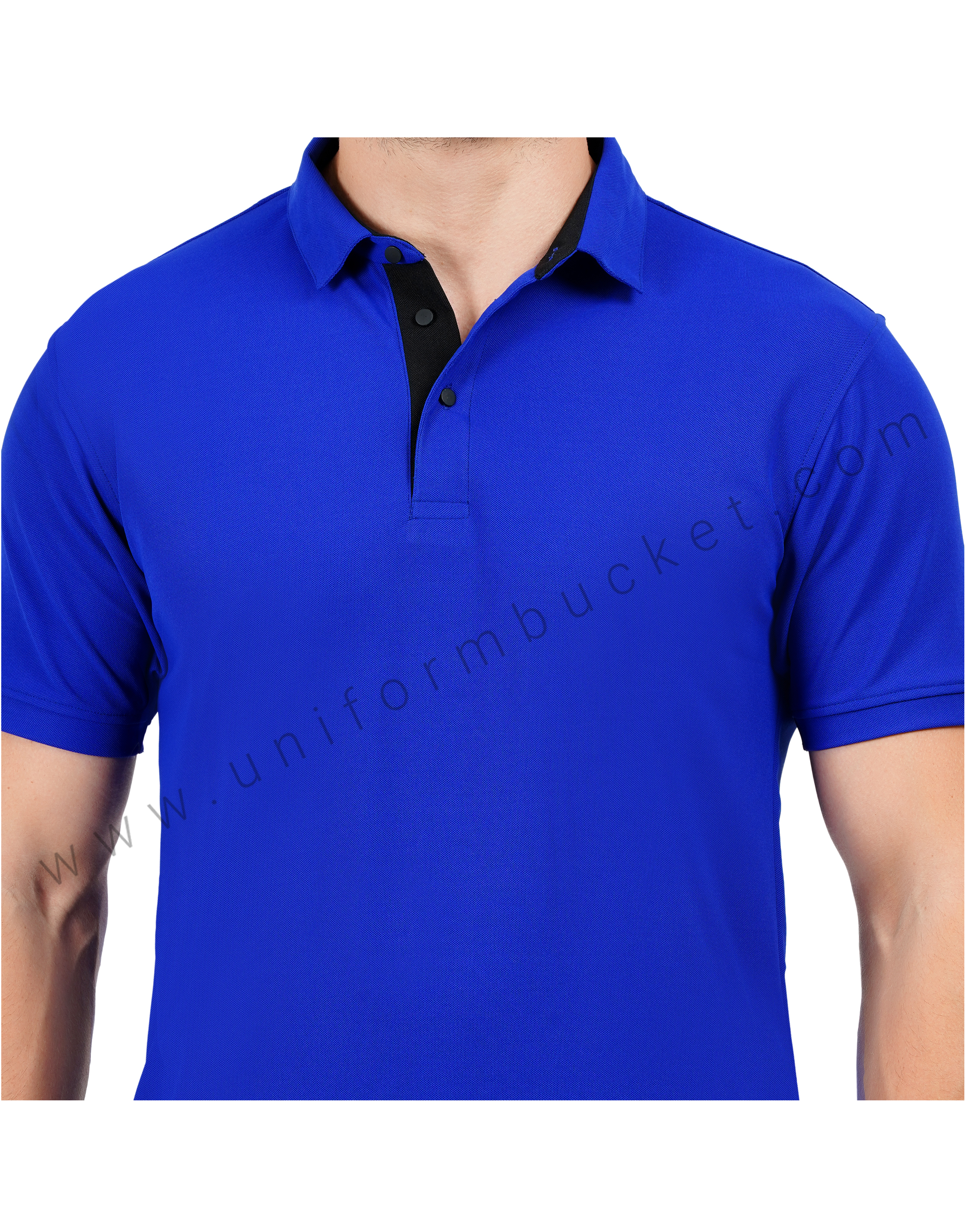 Royal Blue polo T-shirt enhanced with sleek black trim thumbnail 3